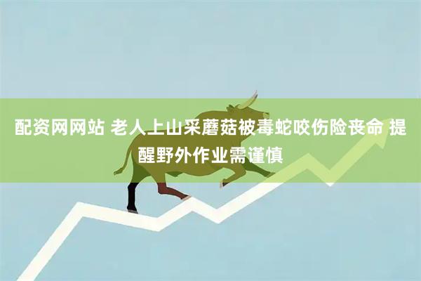 配资网网站 老人上山采蘑菇被毒蛇咬伤险丧命 提醒野外作业需谨慎