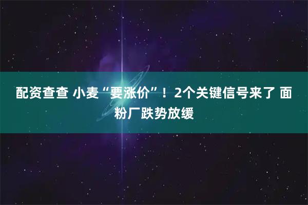 配资查查 小麦“要涨价”！2个关键信号来了 面粉厂跌势放缓